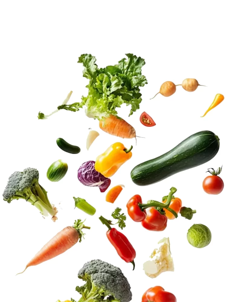 frsh-veg4